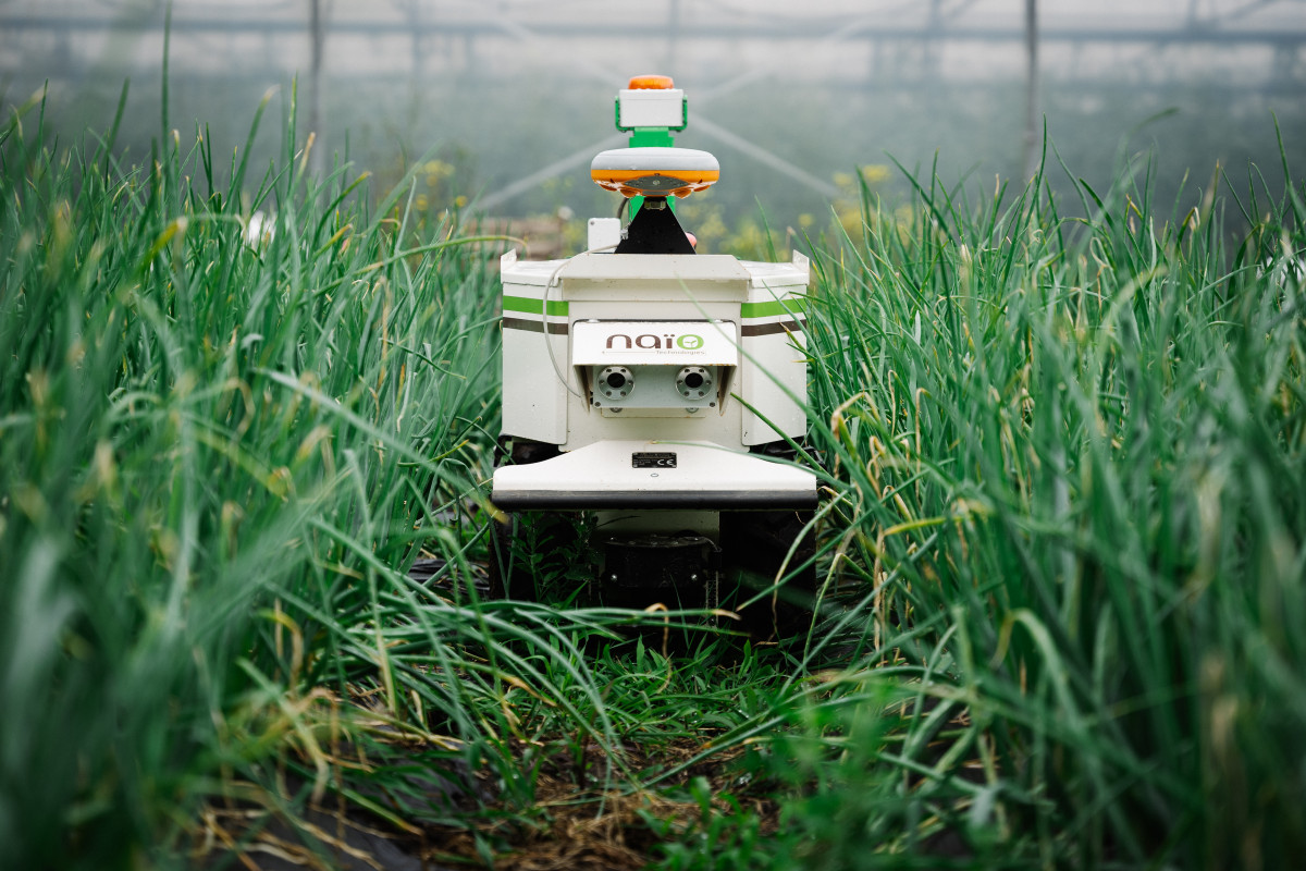 OZ – ROBOT FOR HORTICULTURE AND NURSERY (UP TO 4 HA)
